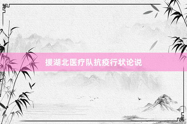 援湖北医疗队抗疫行状论说